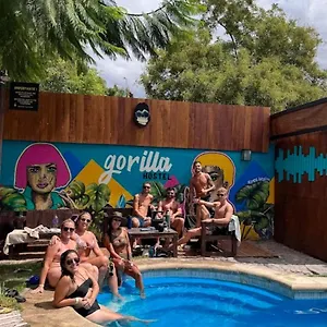  Auberge de jeunesse Gorilla